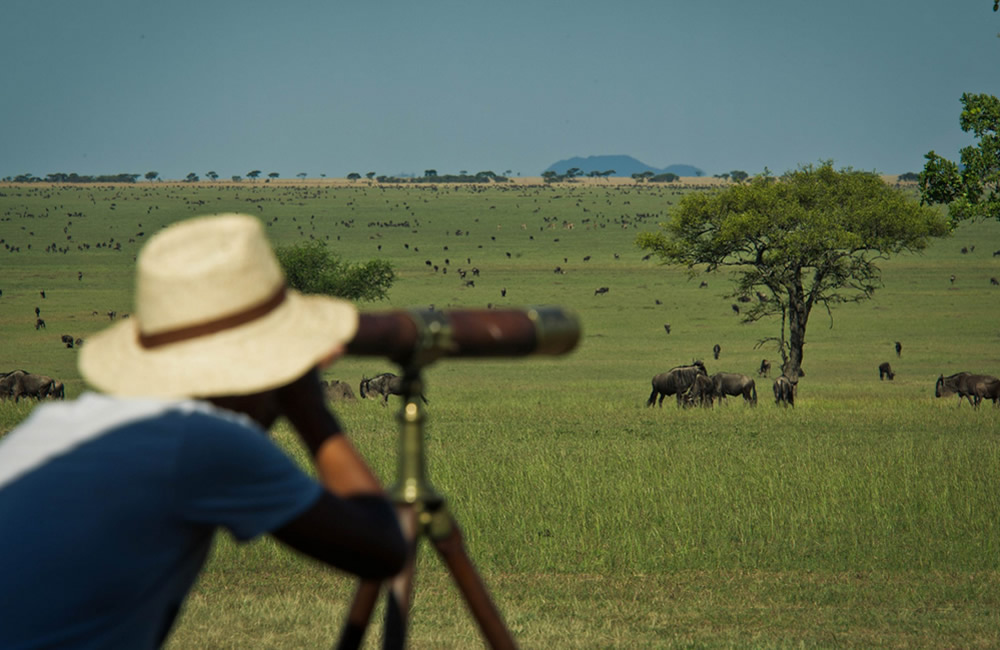 Binocular for Africa Safari