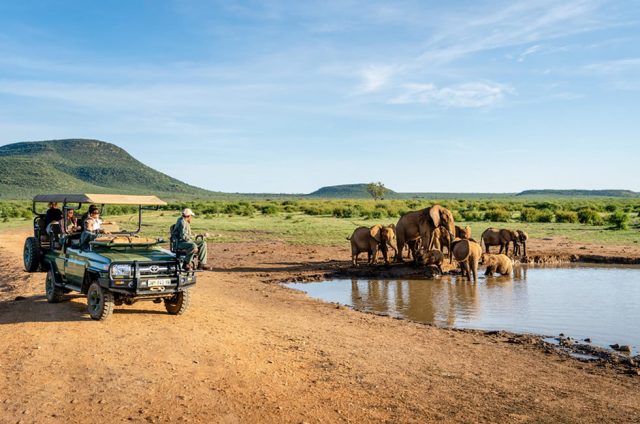 Madikwe Game Reserve